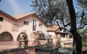 Azienda Vitivinicola Sergio Del Casale